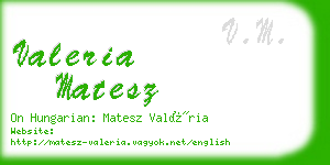 valeria matesz business card